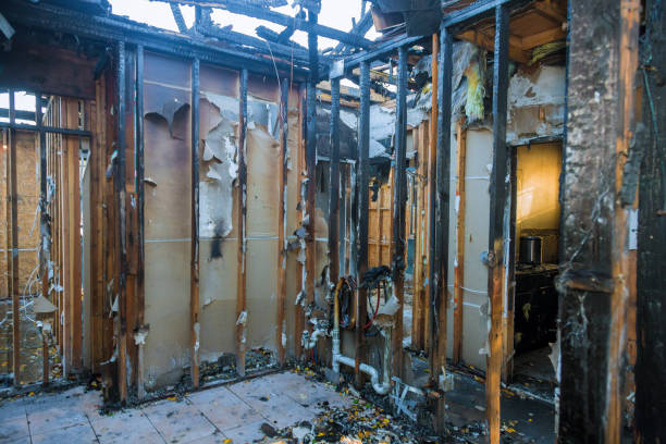 Professional Soot Cleanup technician working in Montura, FL